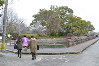 八女福島の町歩き