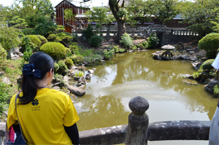 八坂神社の池
