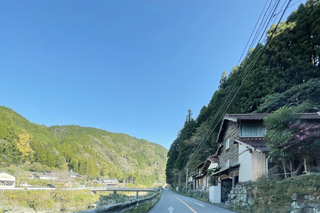 国道442号線