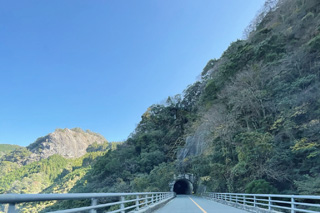 国道442号線